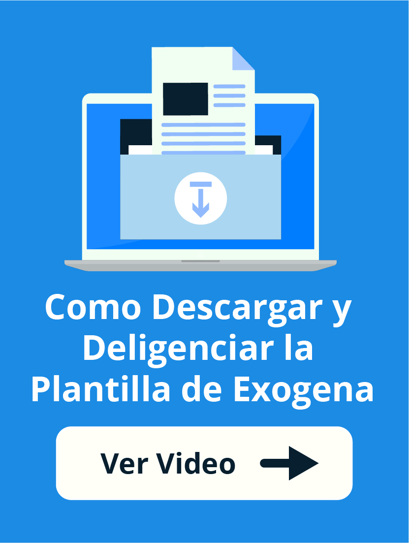 Como Descargar Y Diligenciar La Plantilla De Exógena